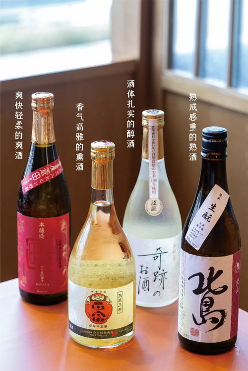 深圳邂逅“诗与酒”两大限时展览 独特玩法与沉浸体验全剧透
